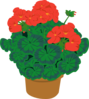 Geranium In A Pot Clip Art